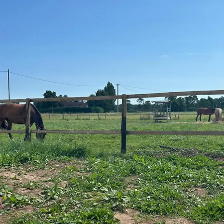 Vakantiehuis Ti Gonneville-en-Auge